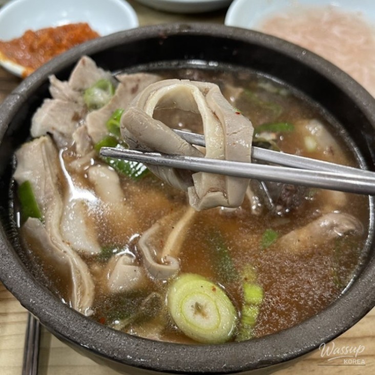 평화로운 풍경