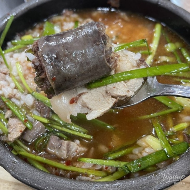 놀라운 광경