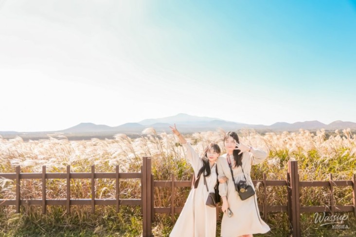 Warm Memory