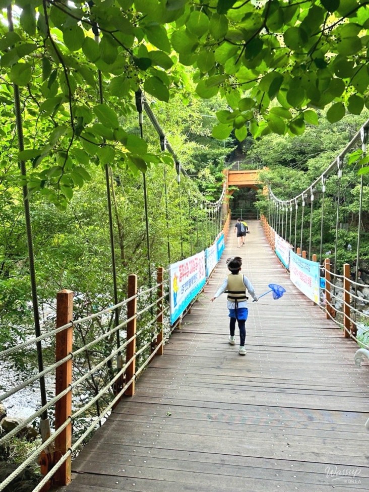 Peaceful Scenery