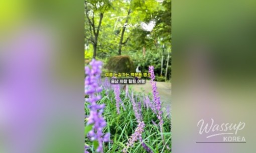 평화로운 풍경