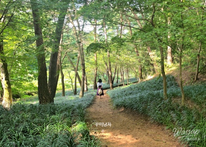 꿈같은 순간