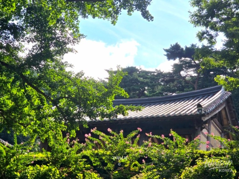 놀라운 광경