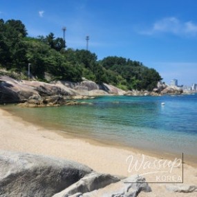 감동적인 장면