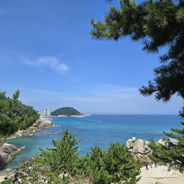 평화로운 풍경