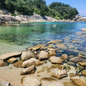 평화로운 풍경