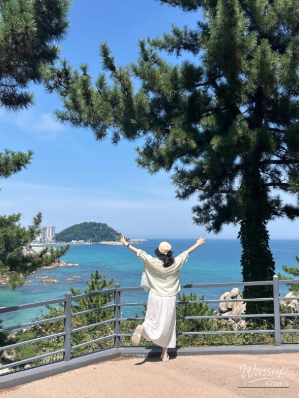 따뜻한 추억