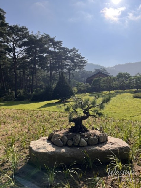 멋진 사진