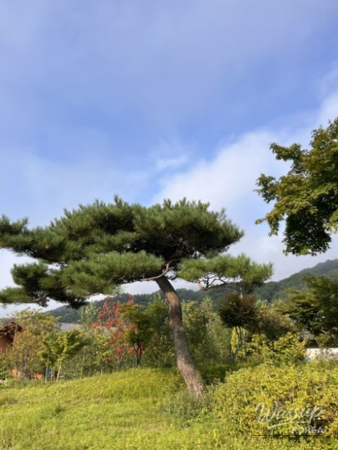 따뜻한 추억