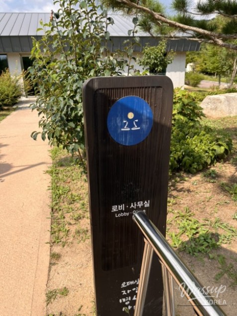 인상 깊은 모습