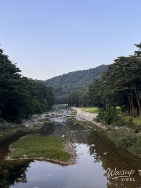 감동적인 장면