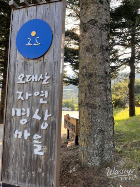 화려한 장면