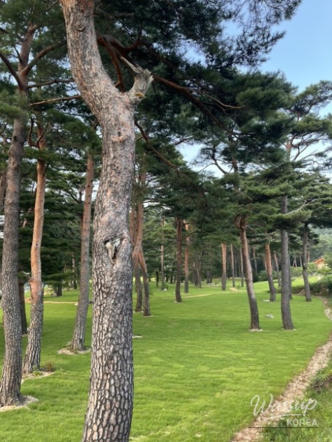 놀라운 광경