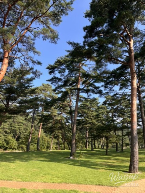 인상 깊은 모습
