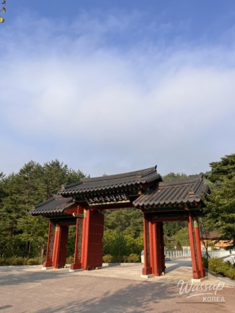 환상적인 장면
