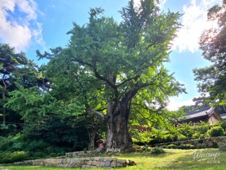 화려한 장면