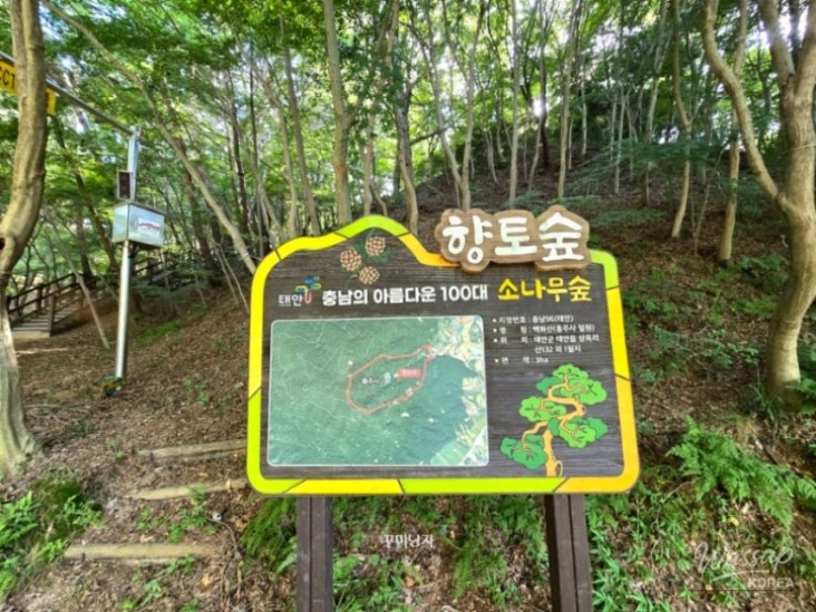 감동적인 장면