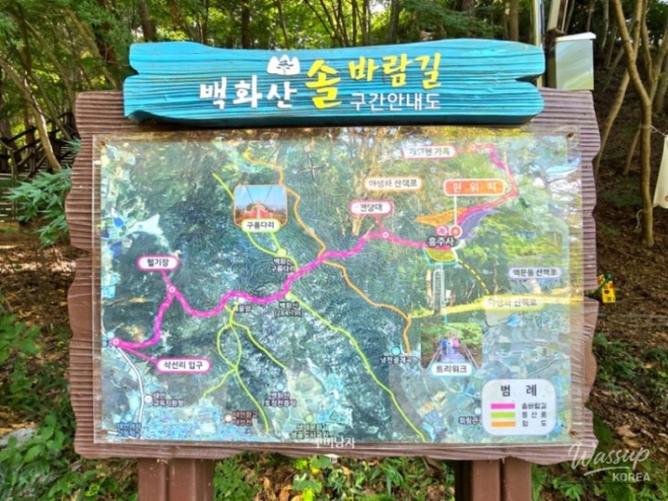신비로운 모습