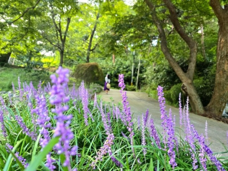 평화로운 풍경