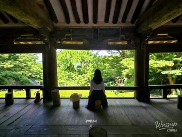 놀라운 광경