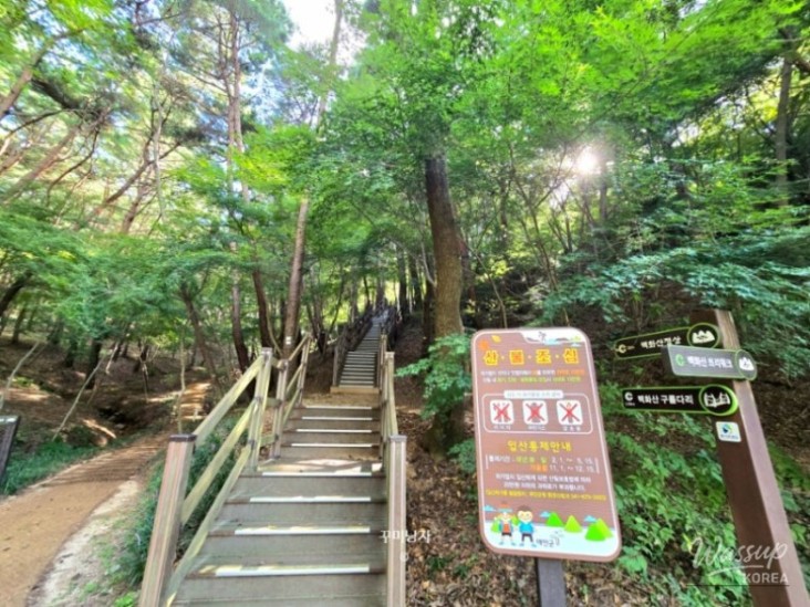 놀라운 광경