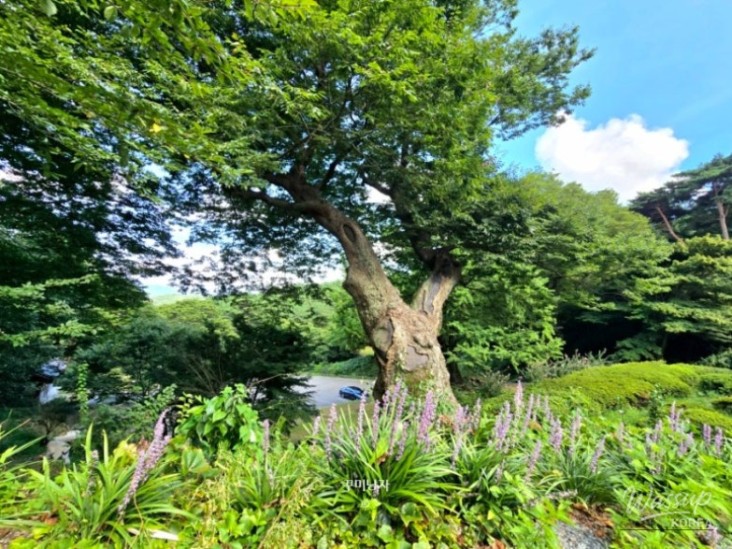 화려한 장면