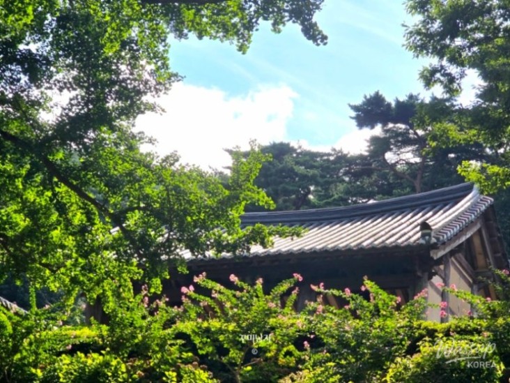 놀라운 광경