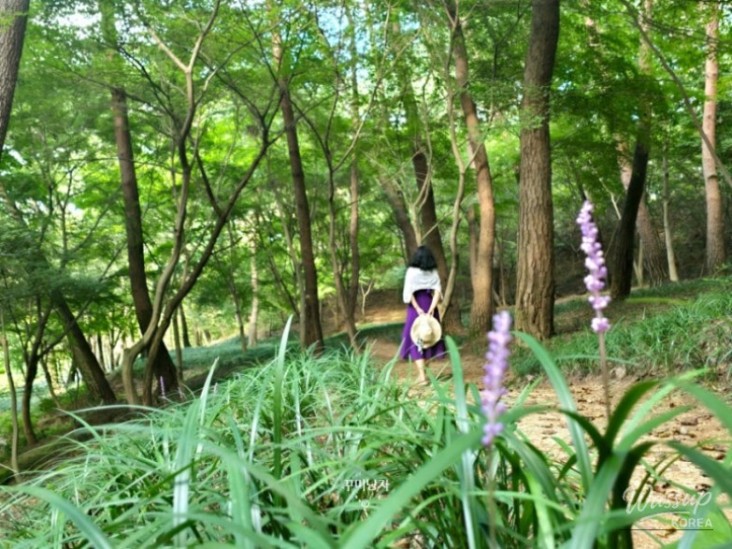 값진 경험