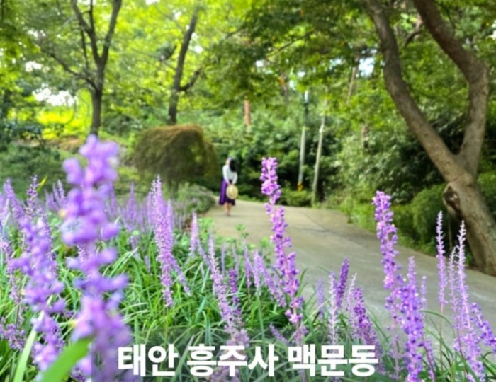 환상적인 장면