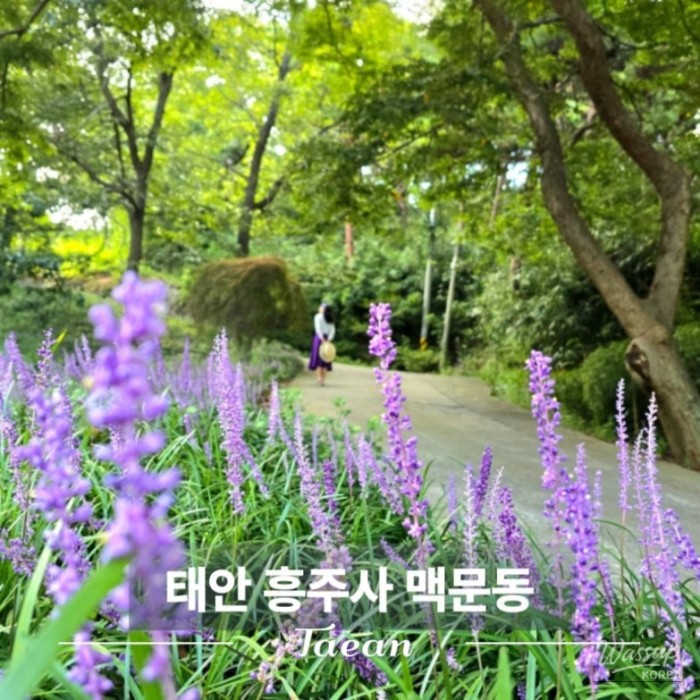 A fantastic scene of the lush greenery and traditional architecture at Heungjusa Temple