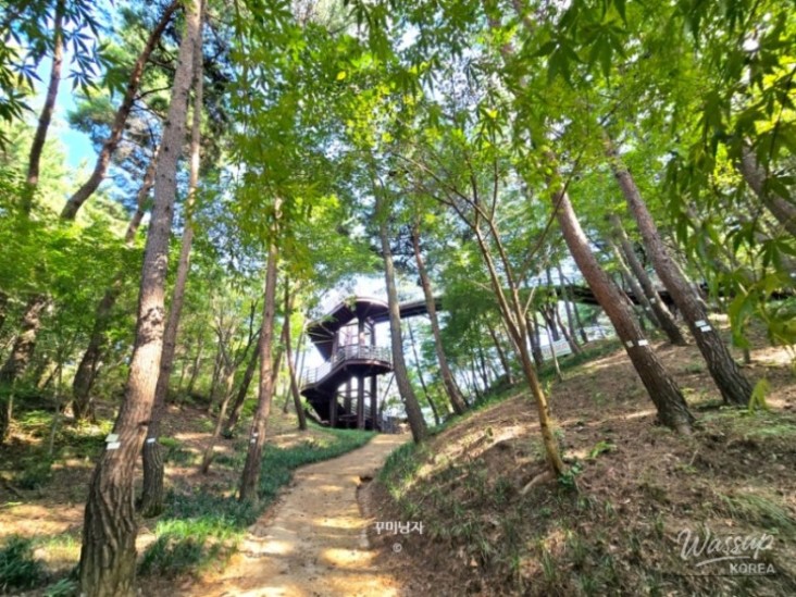 감동적인 장면