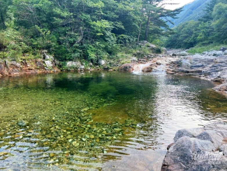 밝은 미래
