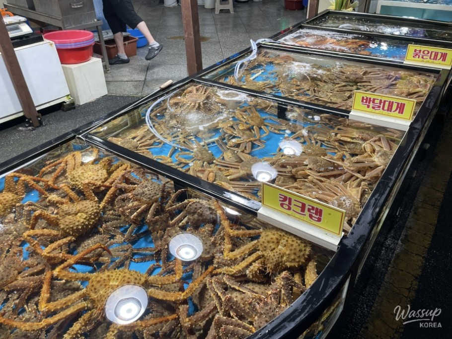 꿈같은 순간