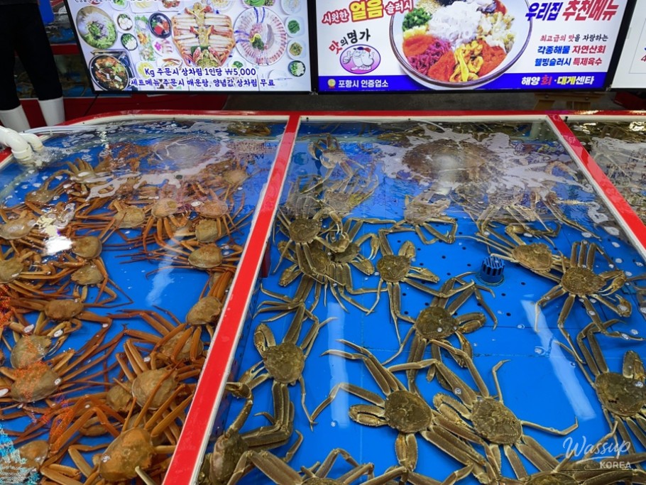 매력적인 사진