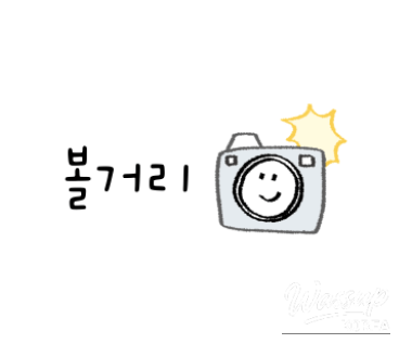 신비로운 모습