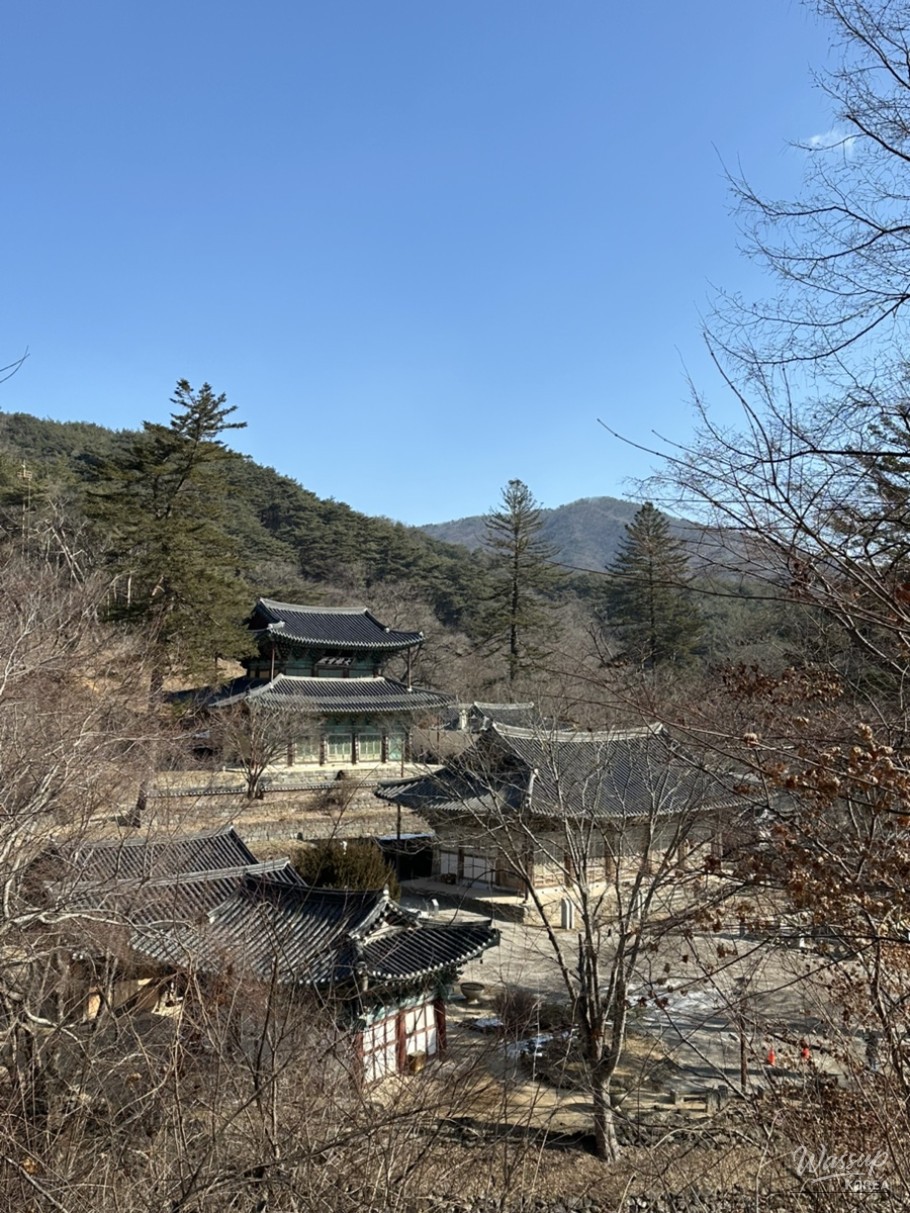 Amazing view
