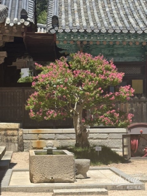 행복한 시간