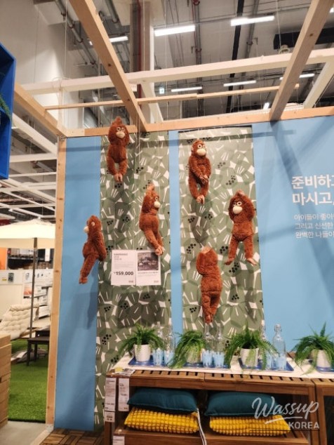 신비로운 모습