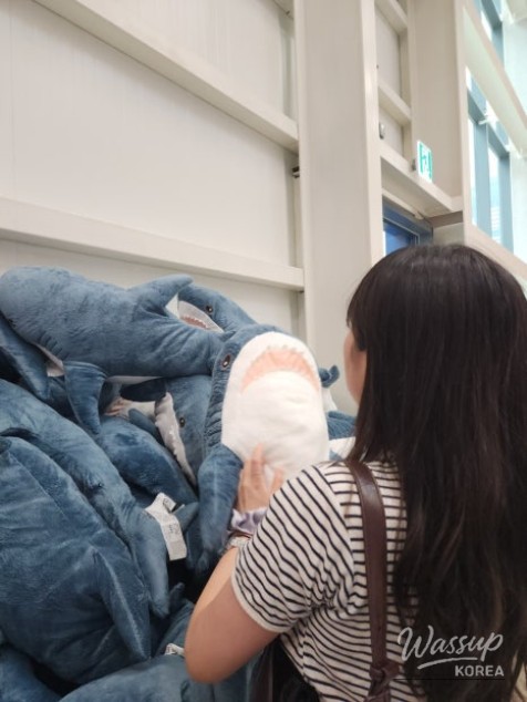 매력적인 사진