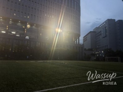 신비로운 모습