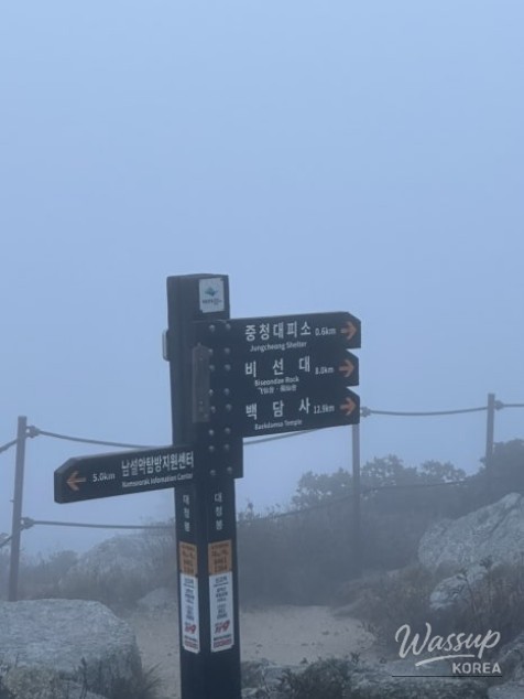 밝은 미래