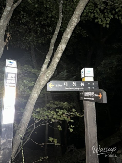 화려한 장면