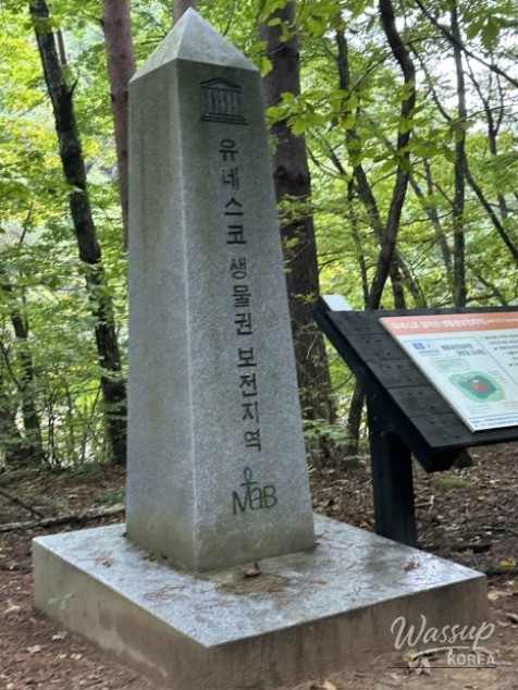 행복한 시간