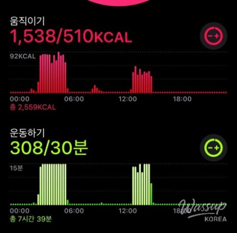 멋진 사진