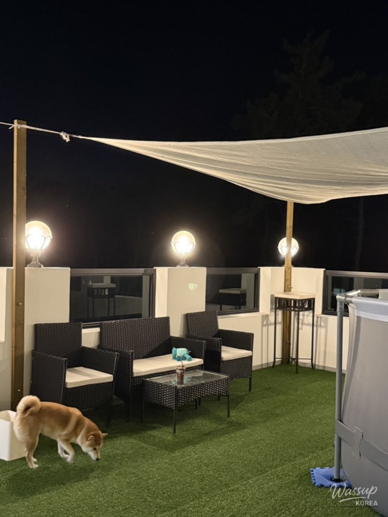 흥미로운 이미지