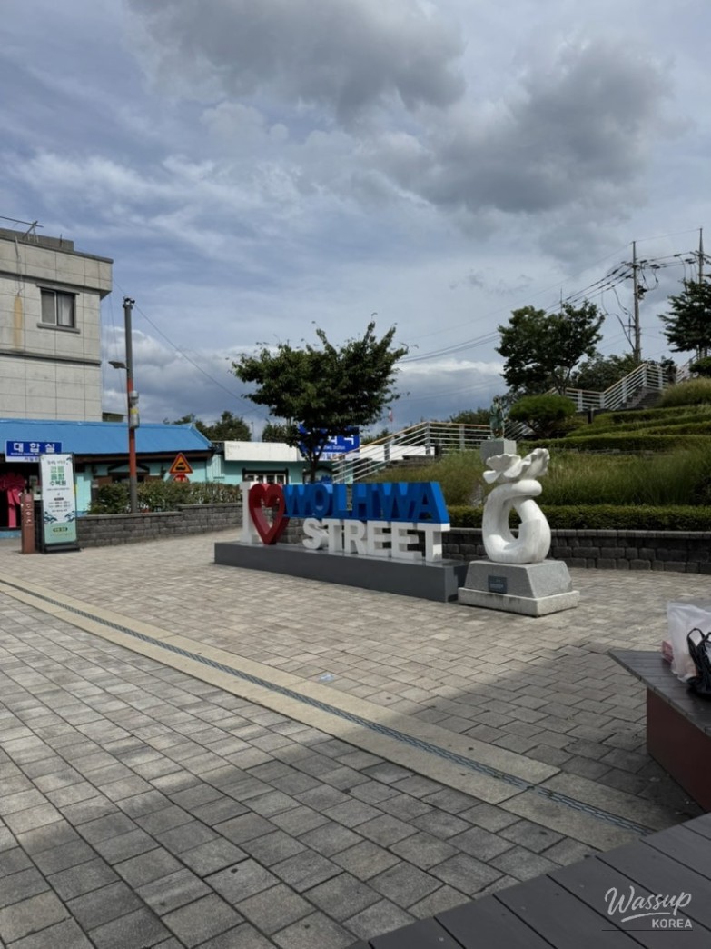 흥미로운 이미지