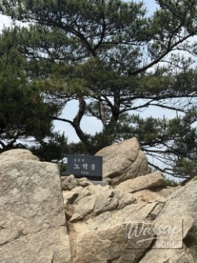 꿈같은 순간