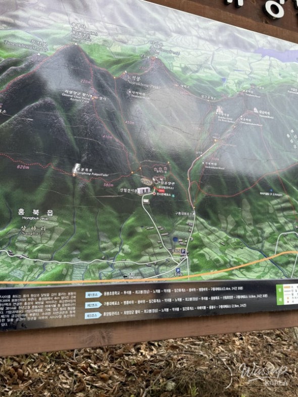 환상적인 장면