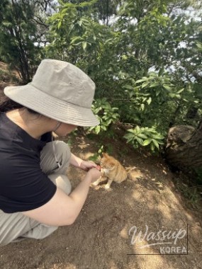 화려한 장면