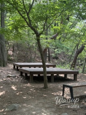 꿈같은 순간